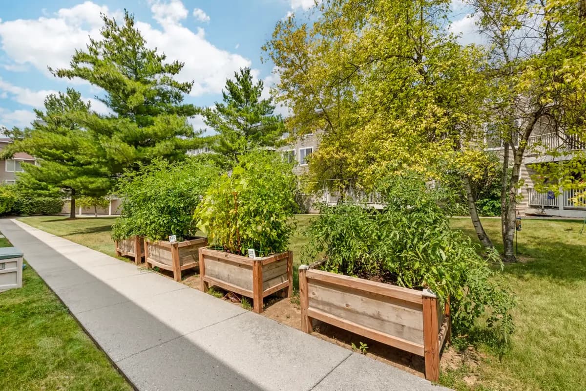 Layton Terrace Senior Living - Apartment - 26