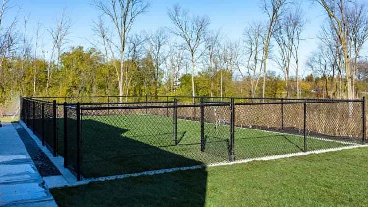 undefined apartments for rent - image - 8 (1).jpg